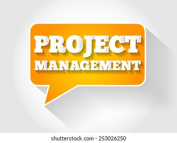 Project Management message bubble, business concept