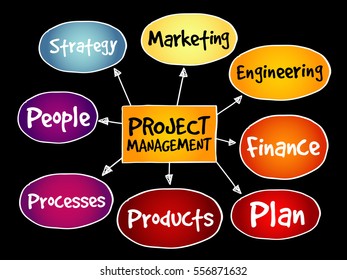 Project management mind map, business concept