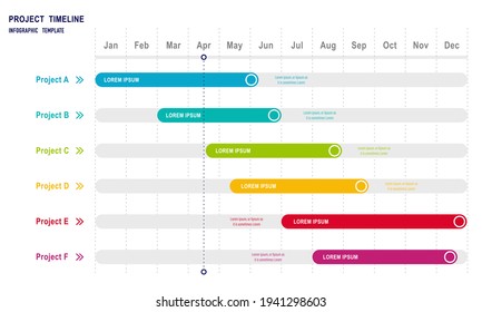 Project Timeline Infographics, 12 Months Timeframe And Milestones