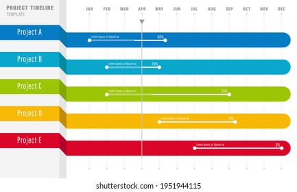 Project Timeline Infographics, 12 months timeframe and milestones