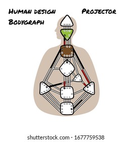 Projector. Human Design BodyGraph. Nine colored energy centers