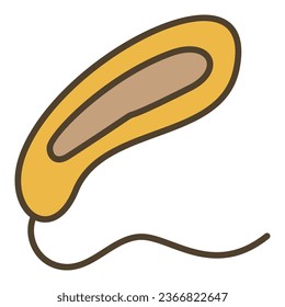 Prokaryote Bacteria vector concept colored icon or design element