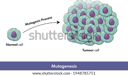 proliferation of human cancer cell due to mutagenesis vector illustration, mutagenic event, tumor cell proliferation. 
