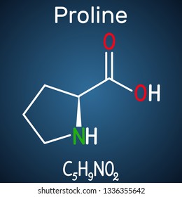 Proline (L- proline, Pro , P) proteinogenic amino acid molecule.  Structural chemical formula on the dark blue background. Vector illustration 