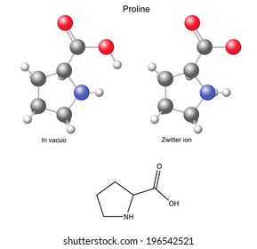 Proline (Pro) - chemical structural formula and models, amino acid, in vacuo, zwitterion, 2D and 3D illustration, balls and sticks, isolated on white background, vector, eps8