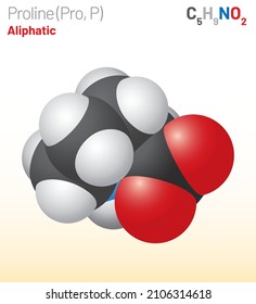 Proline (Pro, P) proteinogenic amino acid molecule. (Chemical formula C5H9NO2) Space-filling model. Layered vector illustration