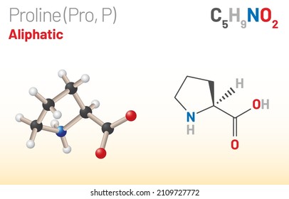 Proline (Pro, P) proteinogenic amino acid molecule. (Chemical formula C5H9NO2) Ball-and-stick model and skeletal formula. Layered vector illustration