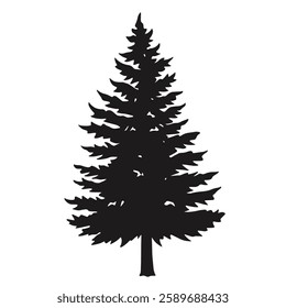 A prominent silhouette of a tall evergreen tree stands against a plain white background. Its lush branches extend upwards creating a striking visual contrast.