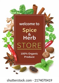 Promotion banner for spice and herbs store. Vector illustration.