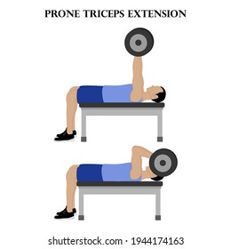 Prone Triceps Extension Vector Illustration On Stock Vector (Royalty ...