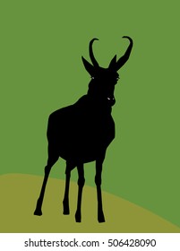 Prong Horn Antelope Silhouette