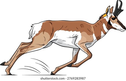 Pronghorn antelope running at full speed with hoofed animal north american plains animal portrait wild wildlife art illustration nature illustration