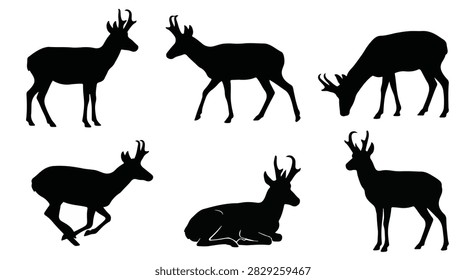 Pronghorn antelope silhouette vector set featuring various animal poses and behaviors.