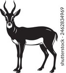 pronghorn Black And White illustration