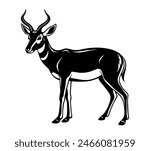 A Pronghorn Silhouette Isolated on White