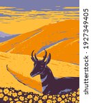 Pronghorn and Wild Flowers Growing in Native Grassland of Carrizo Plain National Monument in San Luis Obispo County California WPA Poster Art