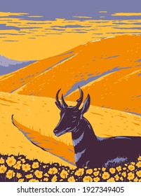Pronghorn and Wild Flowers Growing in Native Grassland of Carrizo Plain National Monument in San Luis Obispo County California WPA Poster Art