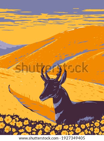 Pronghorn and Wild Flowers Growing in Native Grassland of Carrizo Plain National Monument in San Luis Obispo County California WPA Poster Art