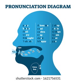 Pronunciation diagram chart with letters and corresponding sounds, vector illustration educational info graphic. Mouth cavity with lips and tongue correct positions example drawing for speech learning