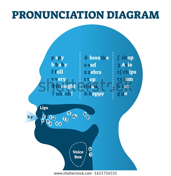 Pronunciation Diagram Chart Letters Corresponding Sounds Stock Vector Royalty Free