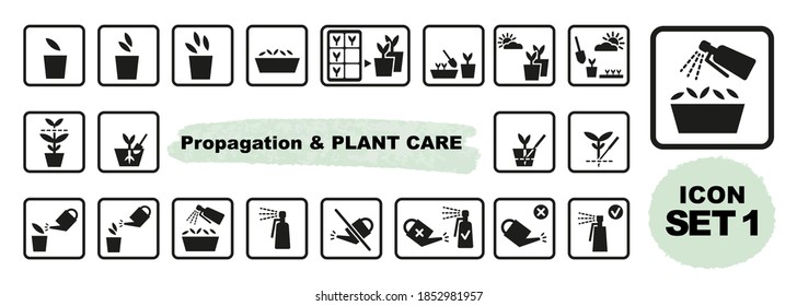 Propagation and plant care vector icon set. Planting, starting seeds, repotting seedlings, watering can and bottle images with square frame. First steps to propagate and grow healthy plant.