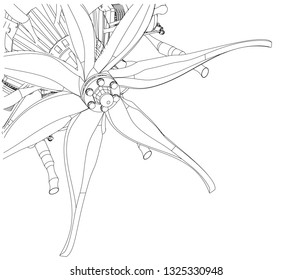 Propeller from the aircraft engine on a white background. Drawing
