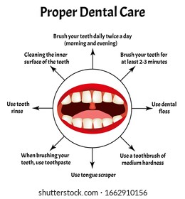 Proper dental care. International Dentist Day. The structure of the teeth and oral cavity. Diseases of the teeth. Infographics. Vector illustration on isolated background.