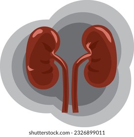 proper kidney function ,medical business ideas, flat design illustration