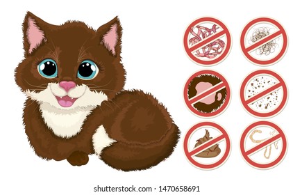 Proper treatment of cats from external and internal parasites. Parasite control. Processing an animal from worms. Cartoon vector illustration.