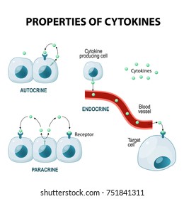 Properties Of Cytokines. Signal Transduction Between Cells. Endocrine, Paracrine And Autocrine Secretion