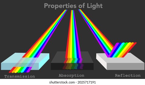 Properties Light Anatomy Reflection Absorption Transmission Stock ...