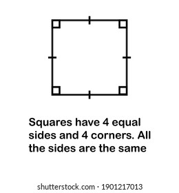 properties of square shape, math shape