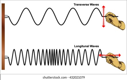 Longitudinal wave