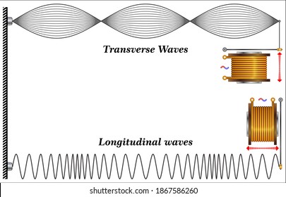 Properties Of Wave Cycles: Longitudinal Wave - Transverse Wave