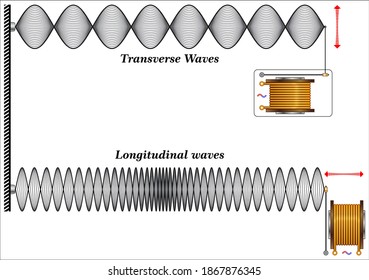 Properties Of Wave Cycles: Longitudinal Wave - Transverse Wave