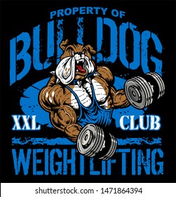 property of bulldog weightlifting team design with muscular mascot lifting dumbbells for school, college or league