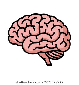 Prople brain color for study neuroscience medical student