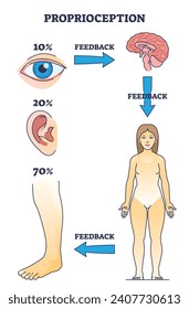 Proprioception or kinesthesia as body part sensory perception outline diagram. Labeled educational scheme with visual, movement and auditory information feedback to cortex vector illustration.