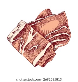 Prosciutto or Spanish jamon hand drawn vector