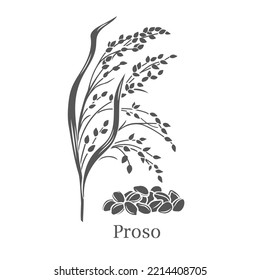 Proso cereal crop glyph icon vector illustration. Cut black silhouettesummer farm grain grass with leaves, seeds and Proso text, sketch of growing agriculture plant, growth of harvest on field