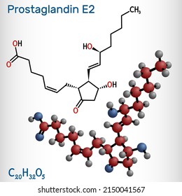 Prostaglandin E2, PGE2, dinoprostone molecule. It is used to induce labor or abortion. Structural chemical formula and molecule model. Vector illustration