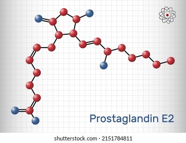 Prostaglandin E2, PGE2, dinoprostone molecule. It is used to induce labor or abortion. Structural chemical formula and molecule model. Sheet of paper in a cage. Vector illustration