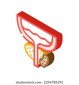 prostate cancer isometric icon vector. prostate cancer sign. isolated symbol illustration