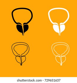 The prostate gland and bladder icon .