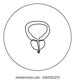 The prostate gland and bladder icon black color in circle vector illustration isolated