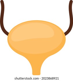 Prostate Gland Concept, Urinary Bladder  Vector color Icon Design, Organ System Symbol, Human Anatomy Sign, Human Body Parts Stock illustration
