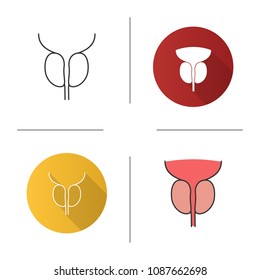 Prostate Gland And Urethra Icon. Male Reproductive System Organ. Flat Design, Linear And Color Styles. Isolated Vector Illustrations