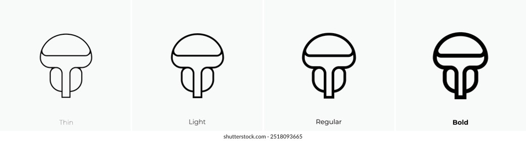 prostate icon. Thin, Light Regular And Bold style design isolated on white background