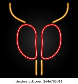 prostatitis neon sign, modern glowing banner design, colorful modern design trends on black background. Vector illustration.