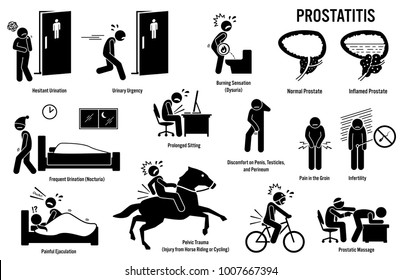 prostatitis y flora intestinal